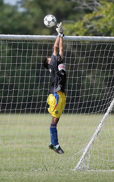 成为选手们 成为选手们