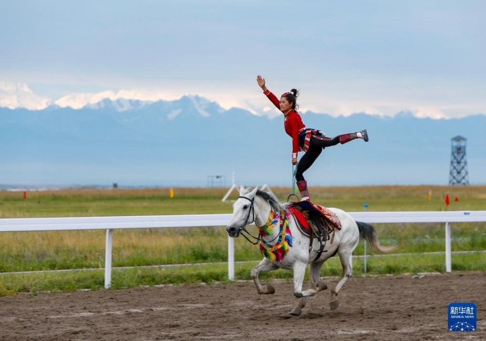 布莱顿在这 布莱顿在这